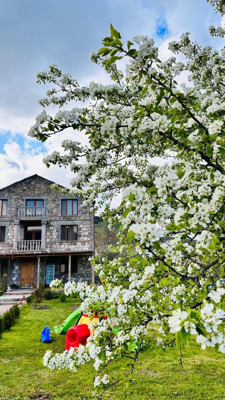 Zartonq Hotel Tat'ev Bagian luar foto